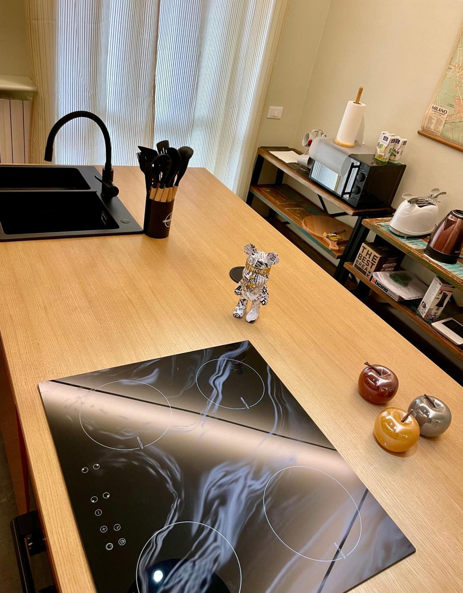 33 Borgo Ticino Lux Free Parking & Private Garden Apartment Pavia Luaran gambar